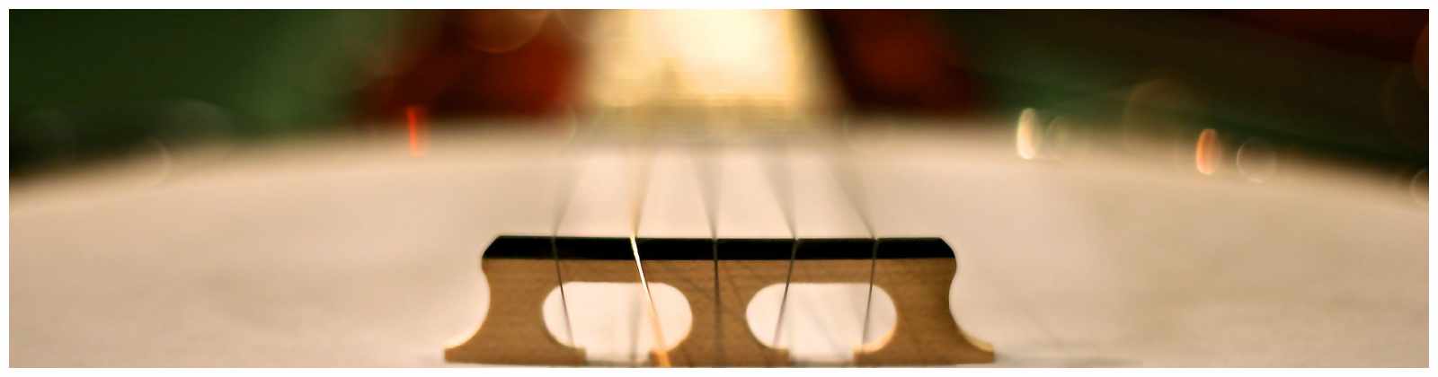 Close-up of a banjo bridge and strings